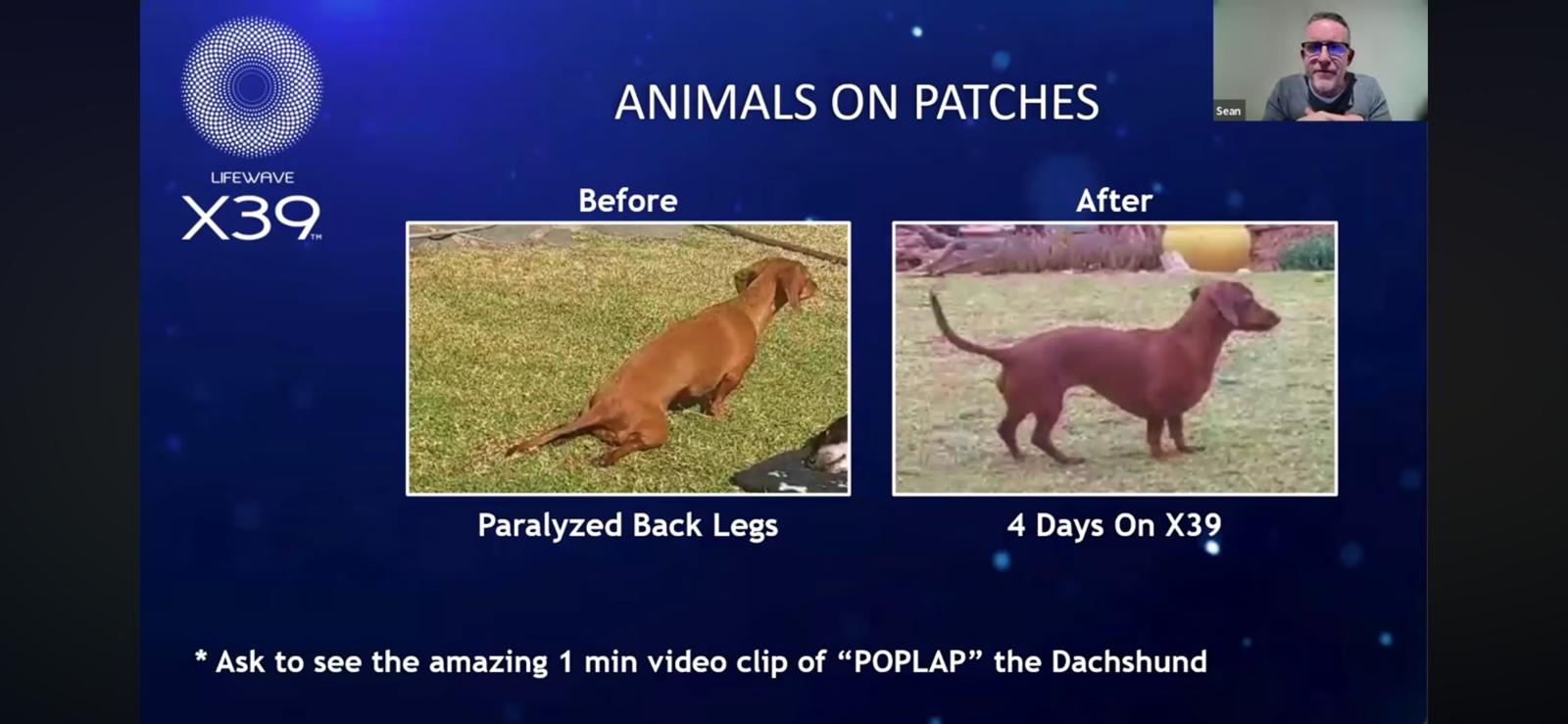 WhatsApp Image 2025-11-14 at 15.19.34 (7)