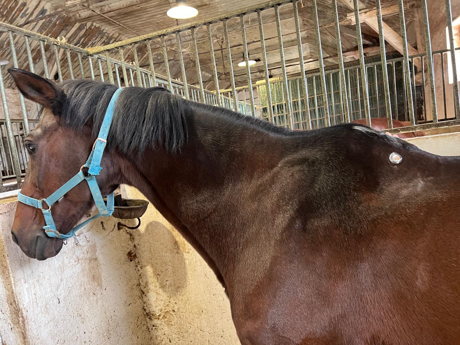 WhatsApp Image 2025-11-14 at 15.19.34