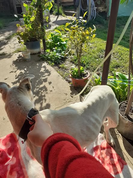 WhatsApp Image 2025-11-14 at 15.19.35 (1)