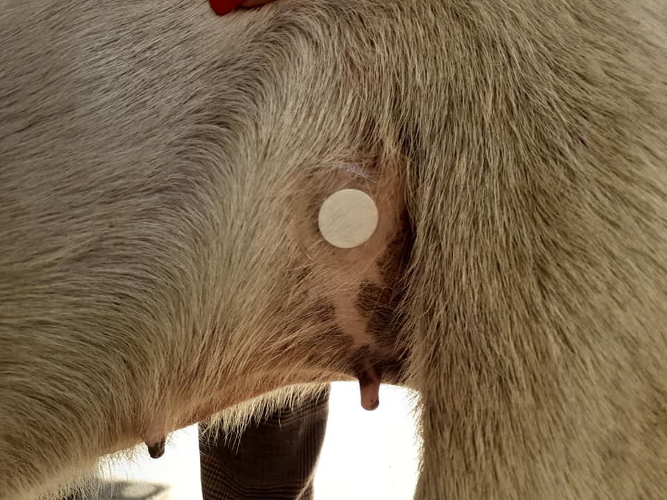 WhatsApp Image 2025-11-14 at 15.19.35 (2)