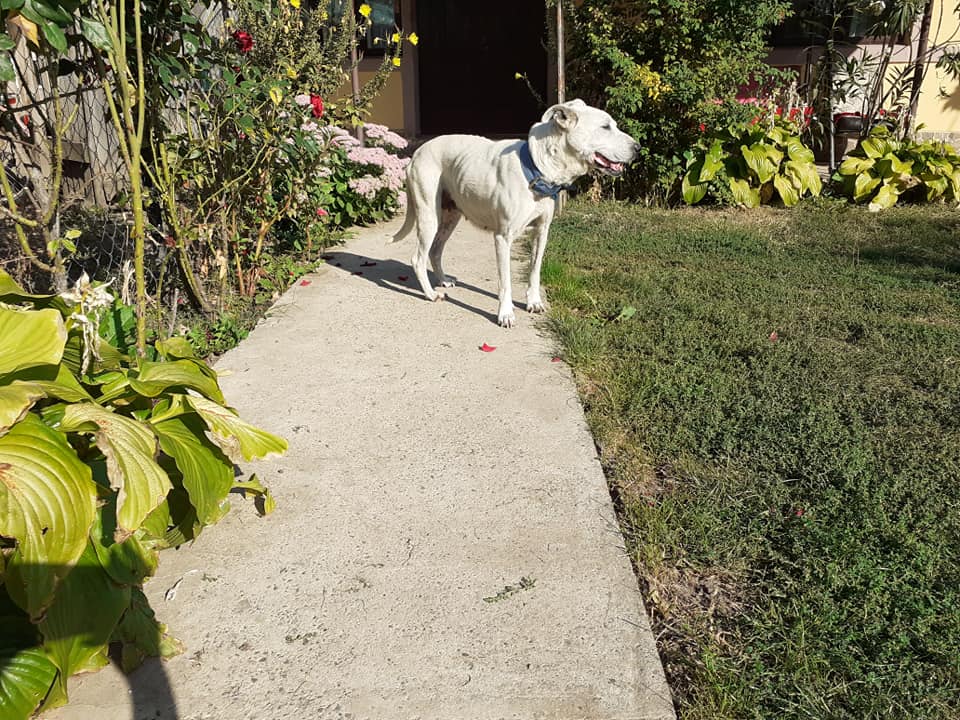 WhatsApp Image 2025-11-14 at 15.19.35 (3)