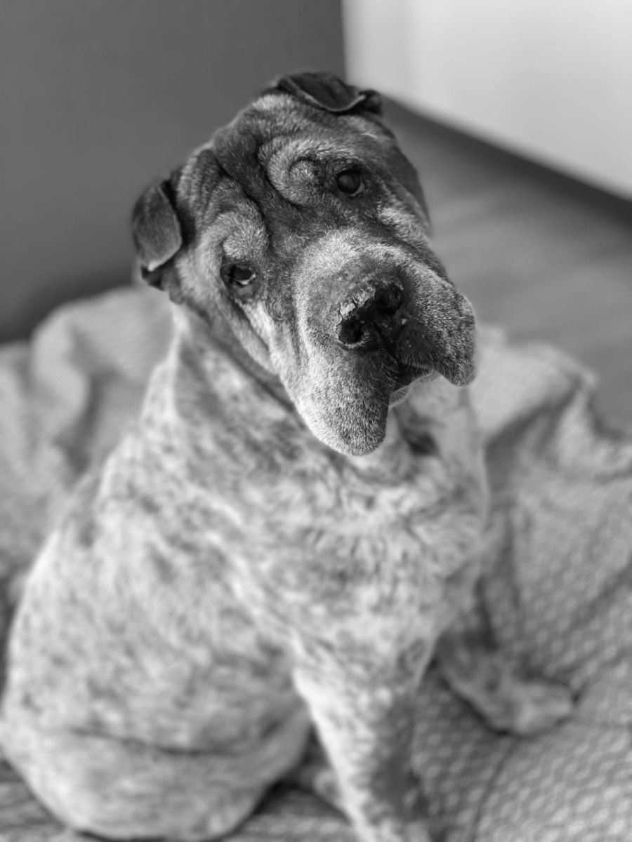 WhatsApp Image 2025-11-17 at 20.24.35 (1)