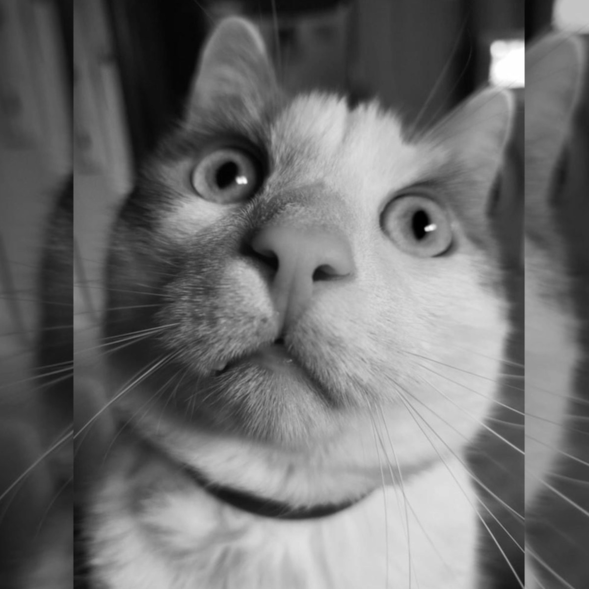 WhatsApp Image 2025-11-17 at 20.24.35 (2)