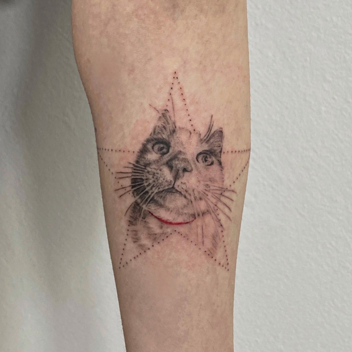 WhatsApp Image 2025-11-17 at 20.24.35 (3)