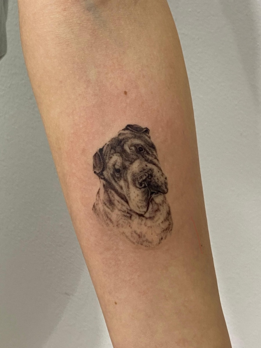 WhatsApp Image 2025-11-17 at 20.24.35