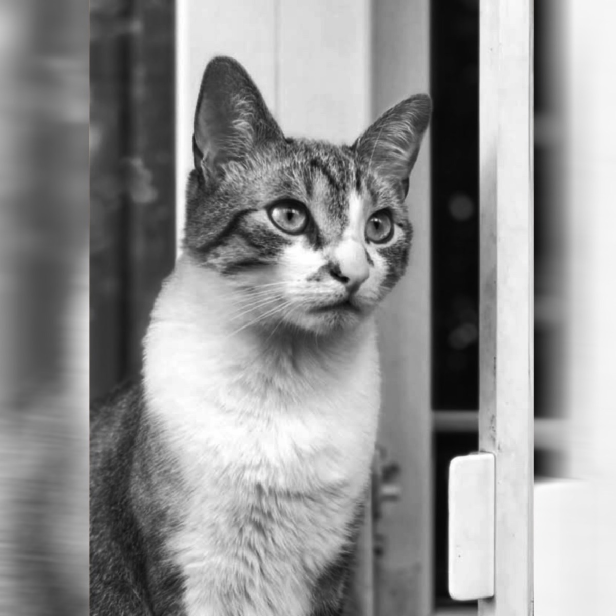 WhatsApp Image 2025-11-17 at 20.24.36 (1)