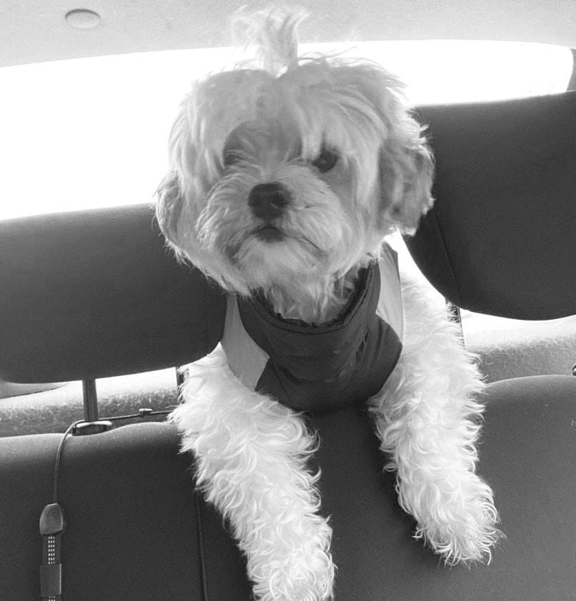 WhatsApp Image 2025-11-17 at 20.24.36 (2)