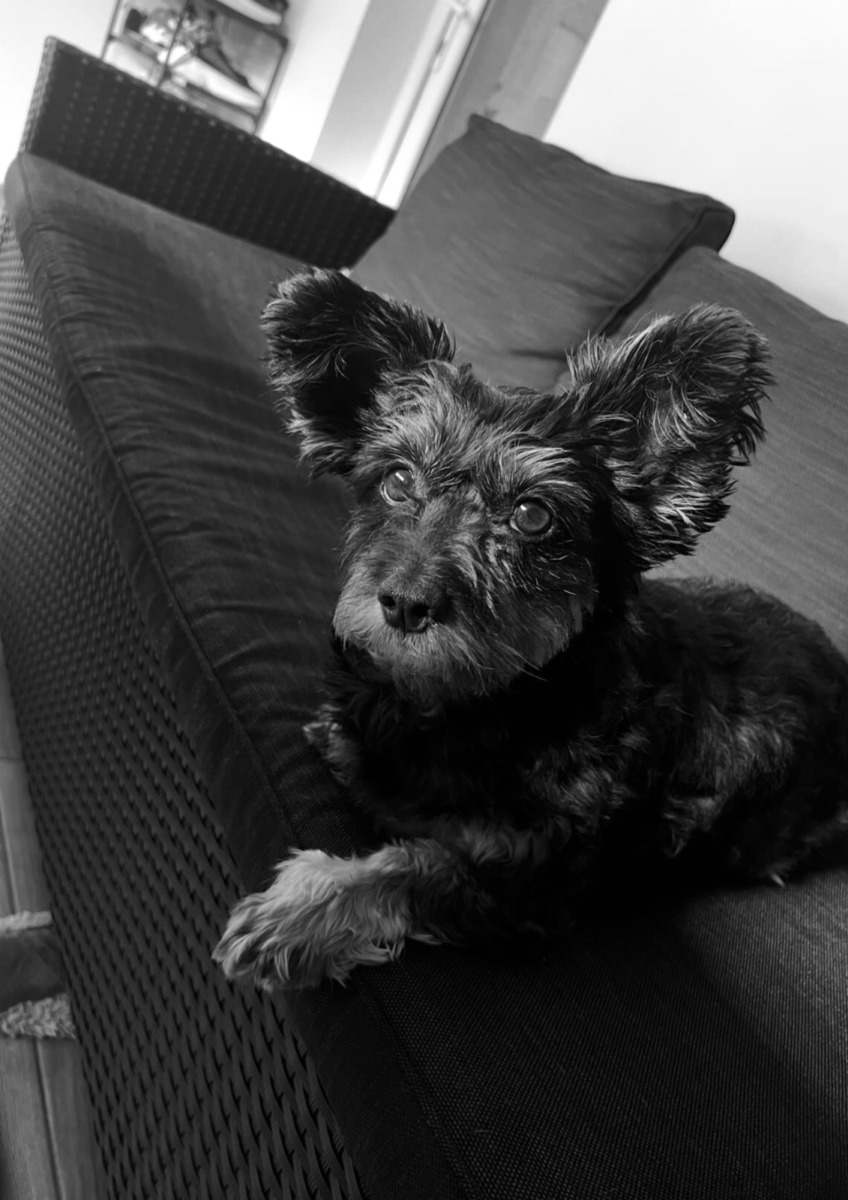 WhatsApp Image 2025-11-17 at 20.24.36 (4)