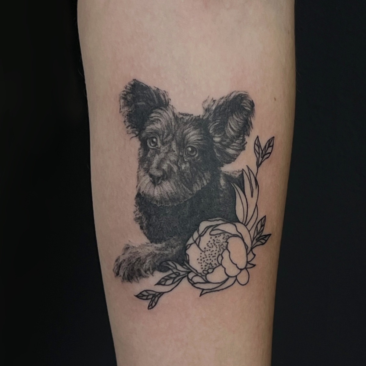 WhatsApp Image 2025-11-17 at 20.24.36 (5)