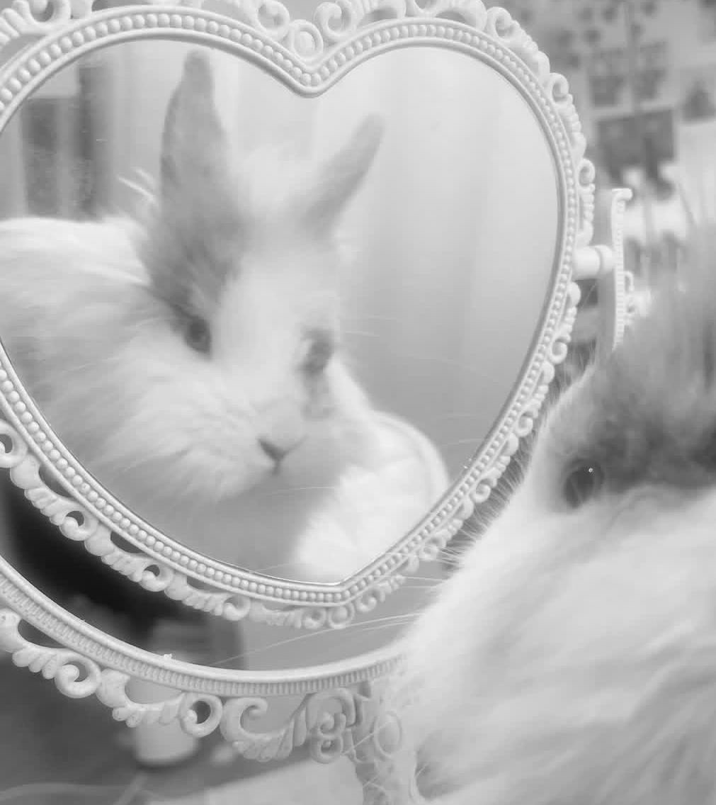 WhatsApp Image 2025-11-17 at 20.24.37 (1)