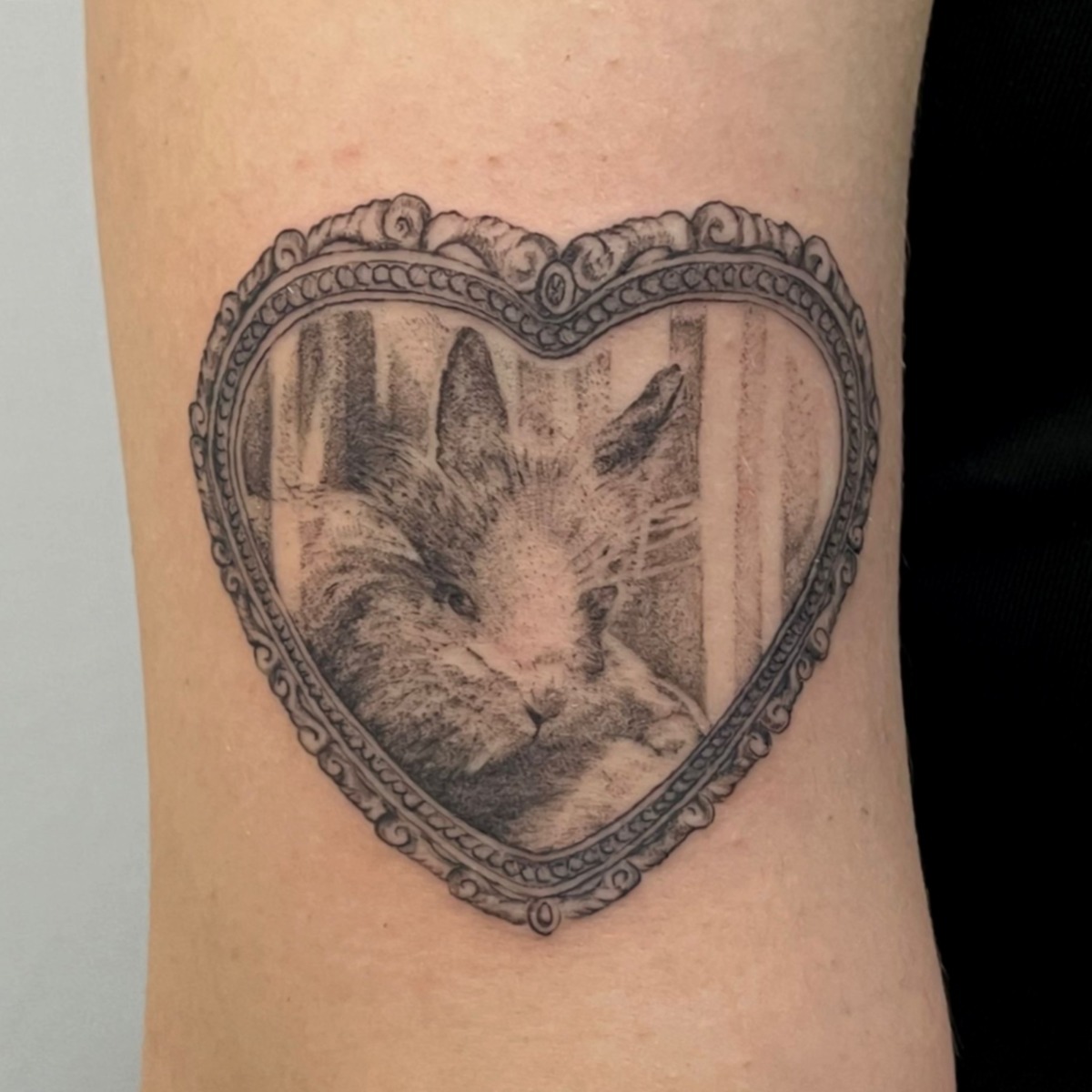 WhatsApp Image 2025-11-17 at 20.24.37