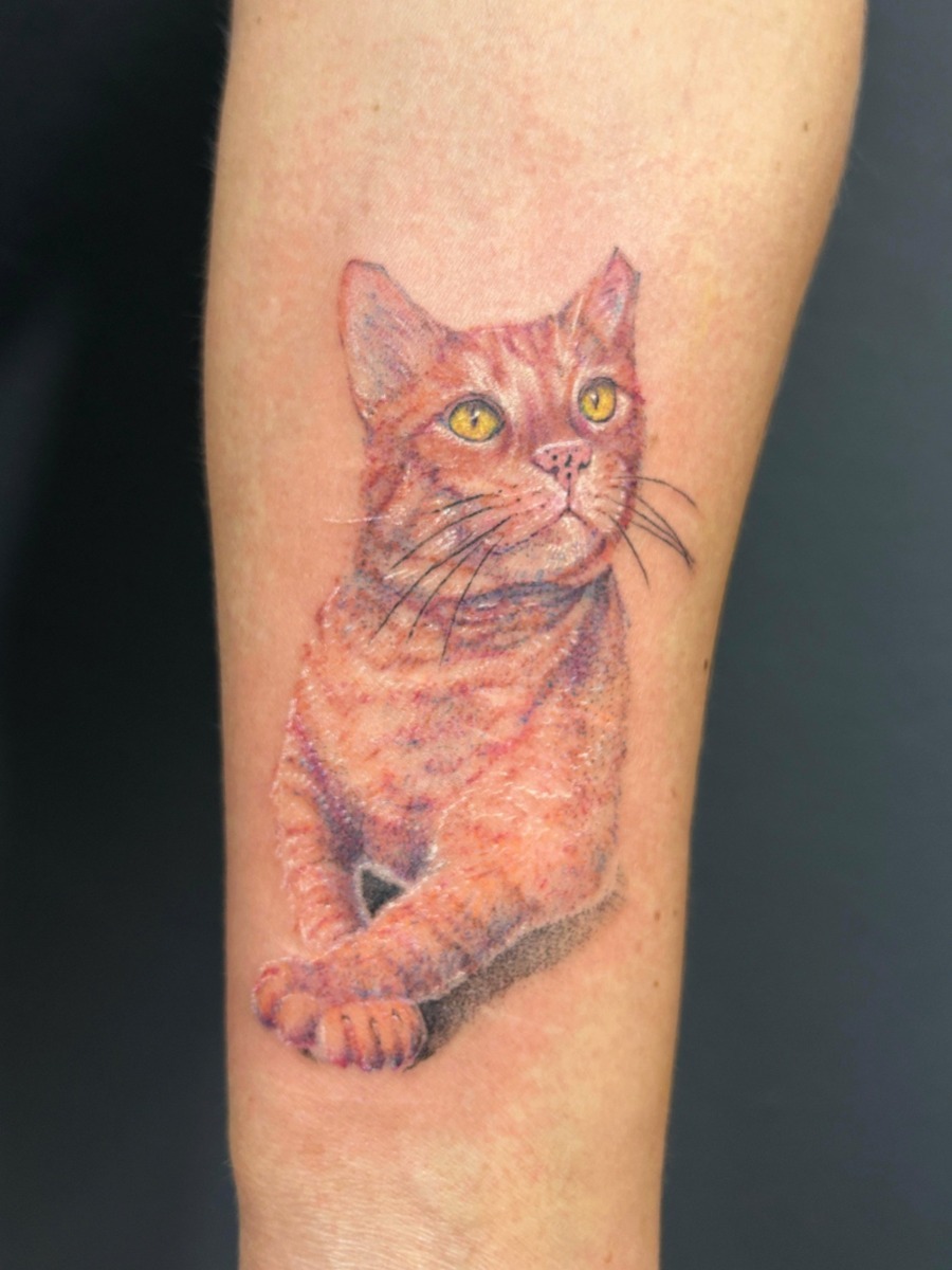 WhatsApp Image 2025-11-17 at 20.24.39 (1)