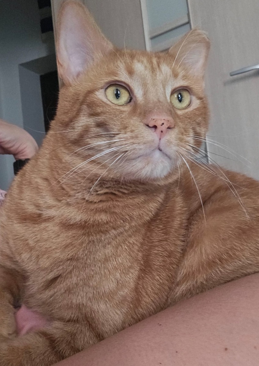 WhatsApp Image 2025-11-17 at 20.24.39