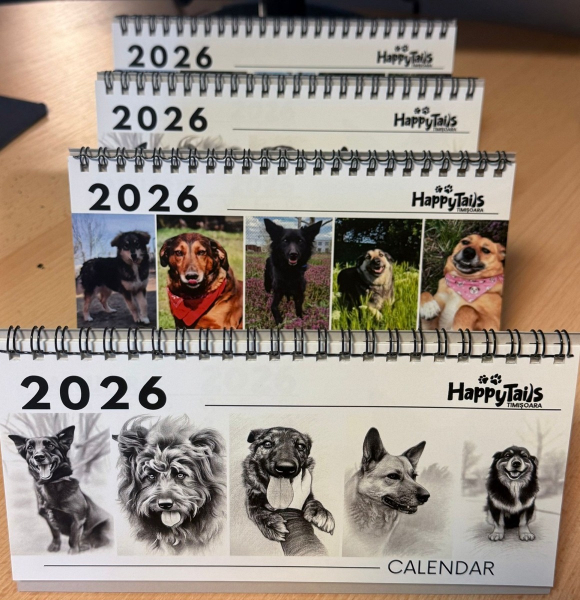 WhatsApp Image 2025-11-18 at 12.57.14