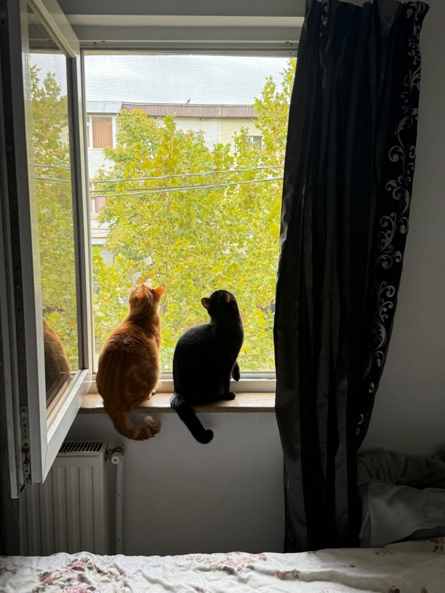 WhatsApp Image 2025-11-18 at 16.05.05 (2)