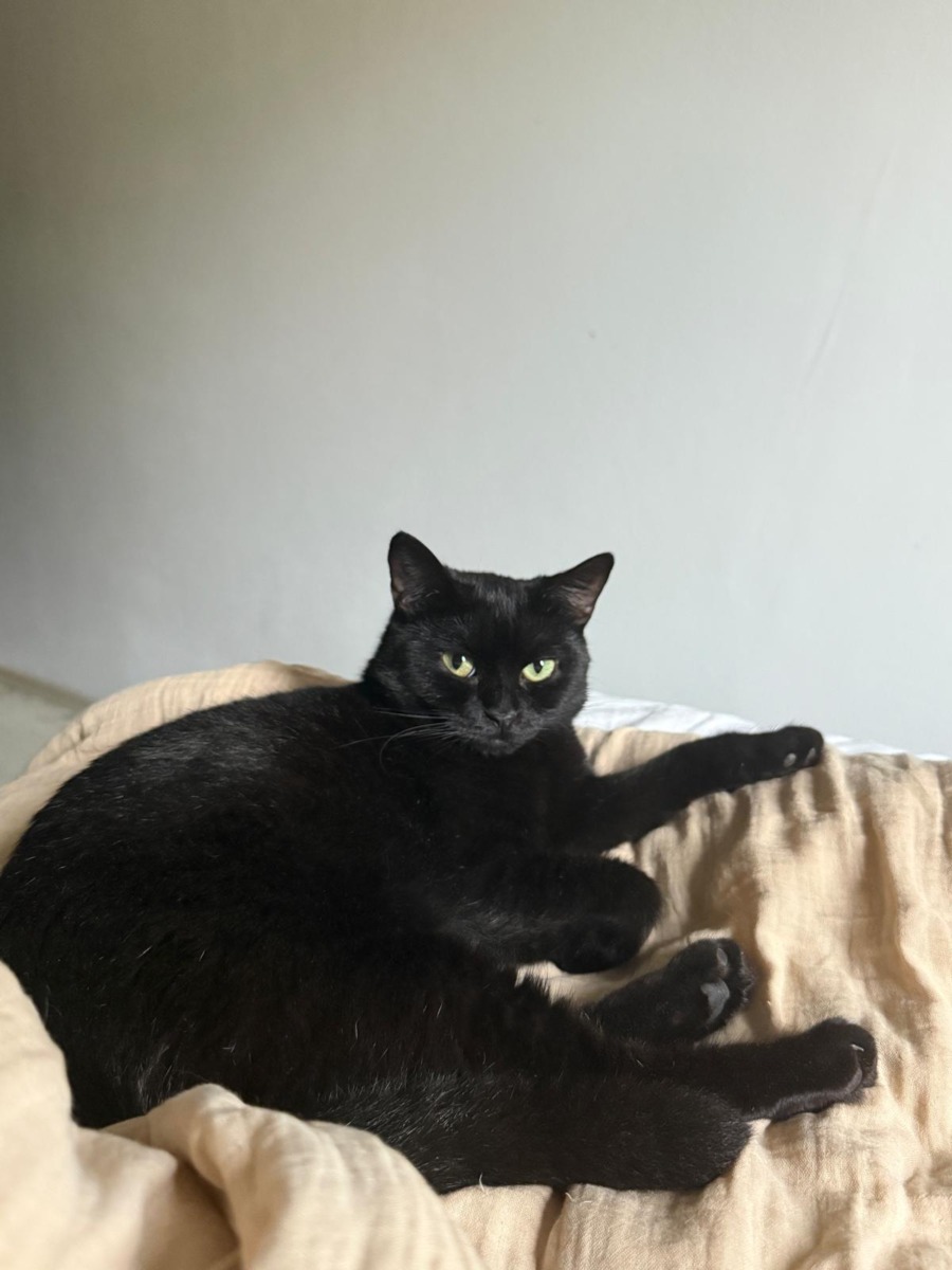 WhatsApp Image 2025-11-18 at 16.05.06 (2)