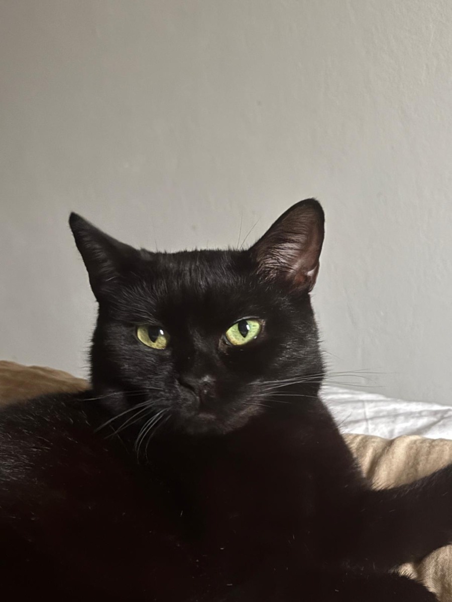 WhatsApp Image 2025-11-18 at 16.05.06 (3)