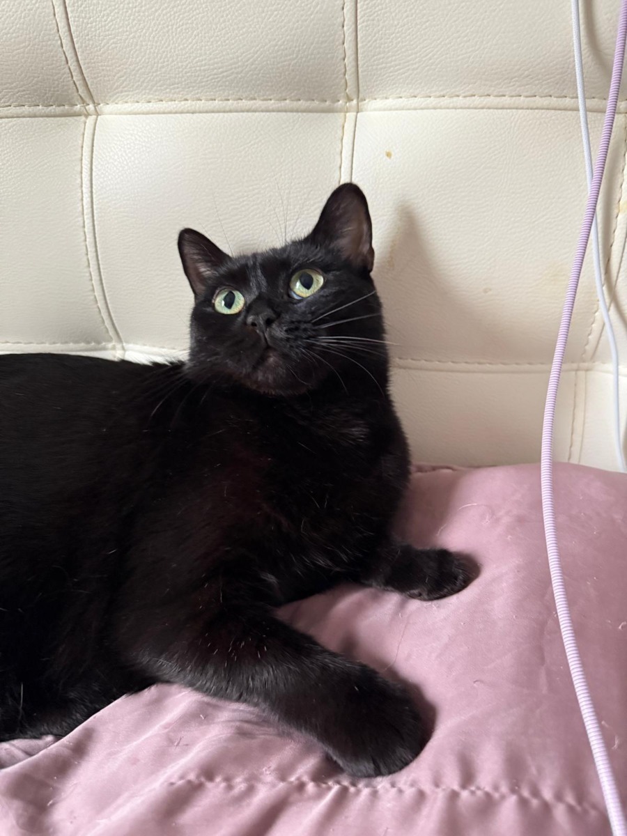 WhatsApp Image 2025-11-18 at 16.05.06 (4)