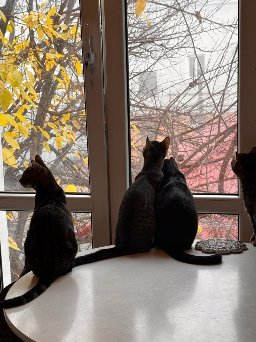 WhatsApp Image 2025-11-25 at 10.57.37 (3)