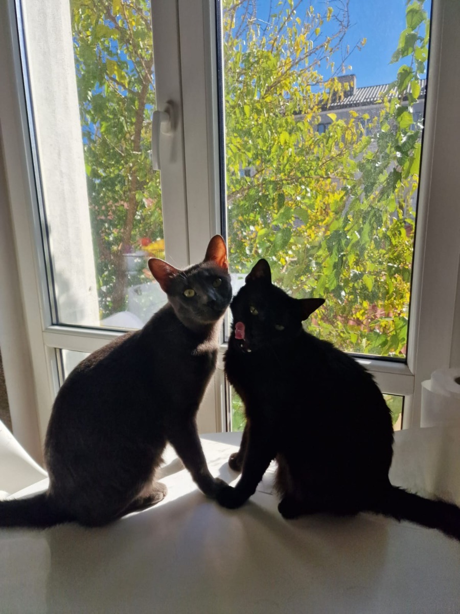 WhatsApp Image 2025-11-25 at 10.57.37 (4)