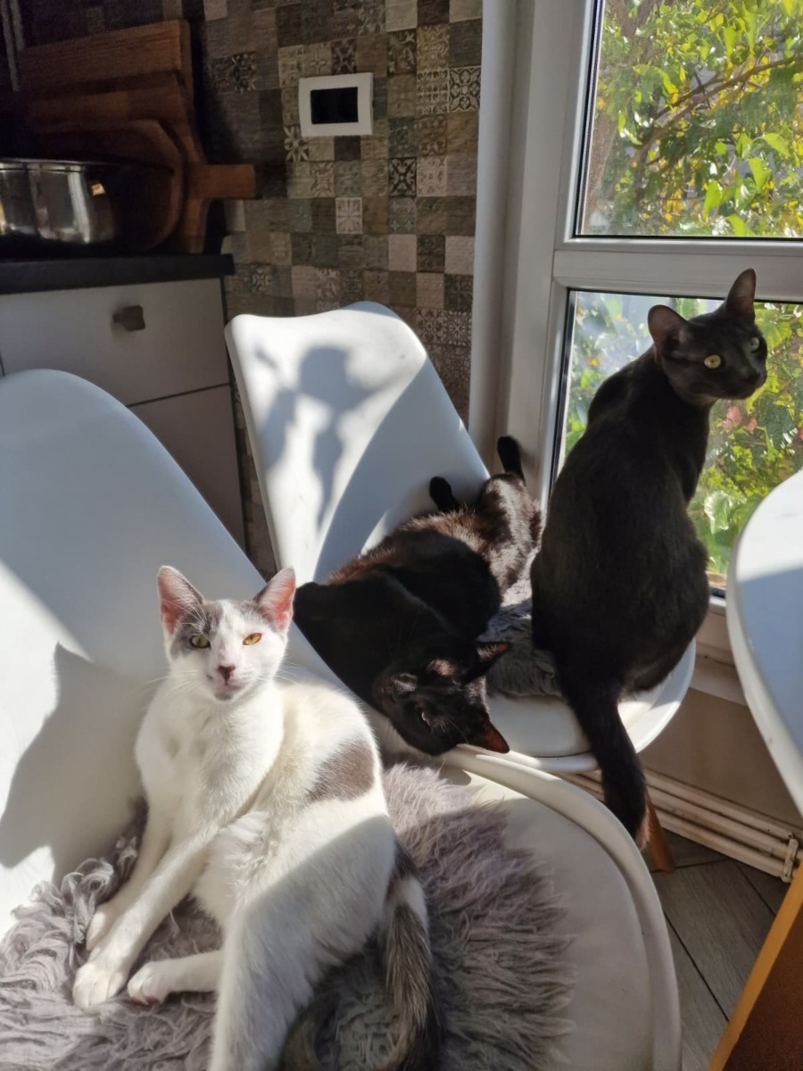 WhatsApp Image 2025-11-25 at 10.57.37 (6)