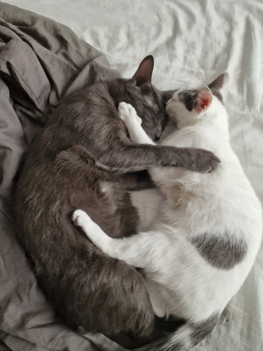 WhatsApp Image 2025-11-25 at 10.57.37 (7)