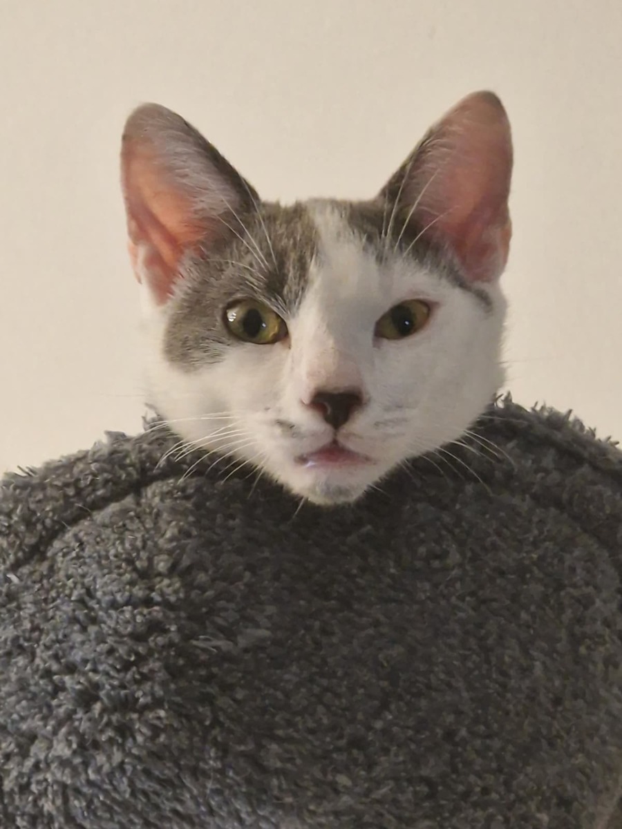 WhatsApp Image 2025-11-25 at 10.57.37 (9)