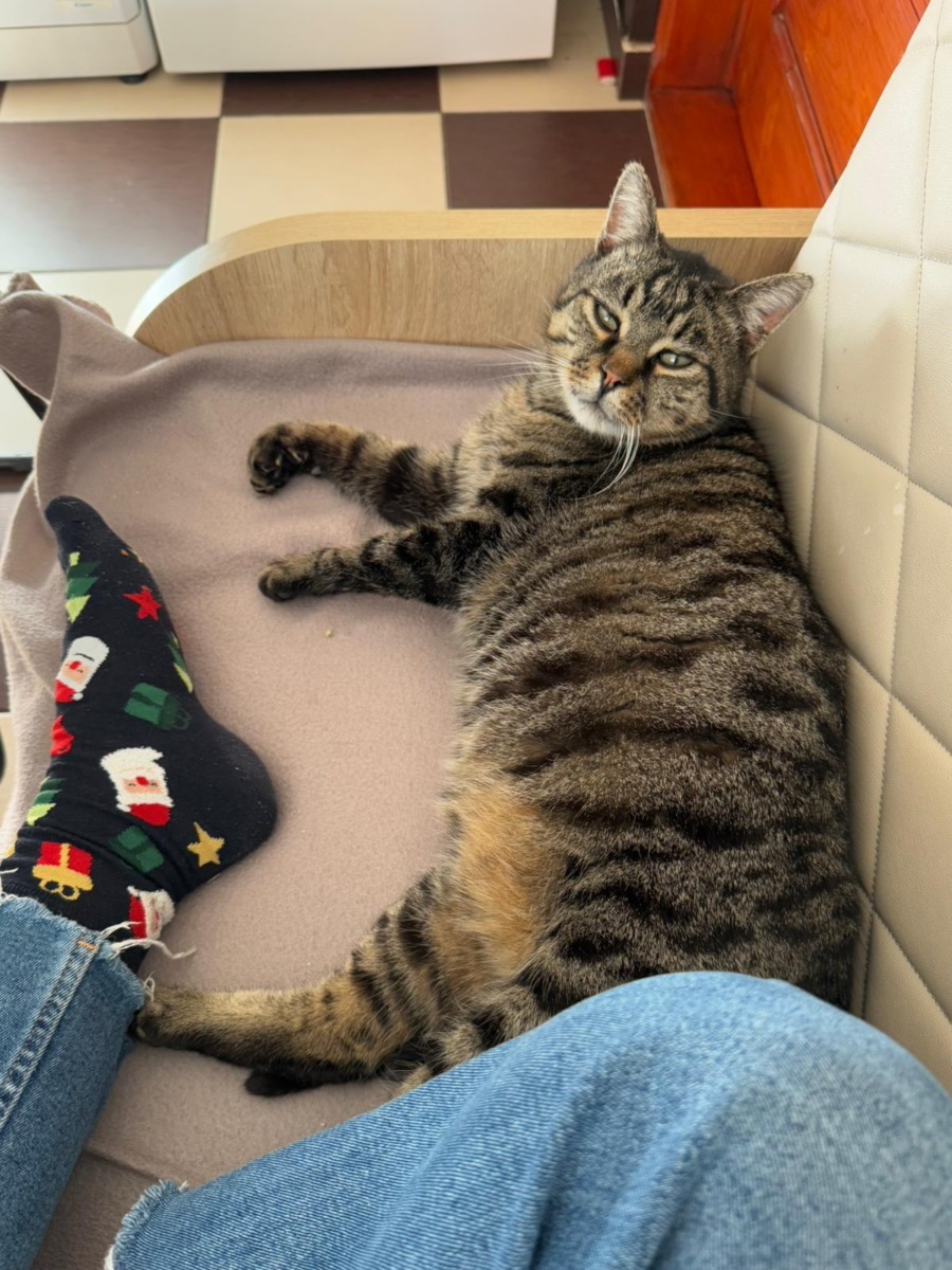 WhatsApp Image 2025-11-26 at 07.49.26 (1)