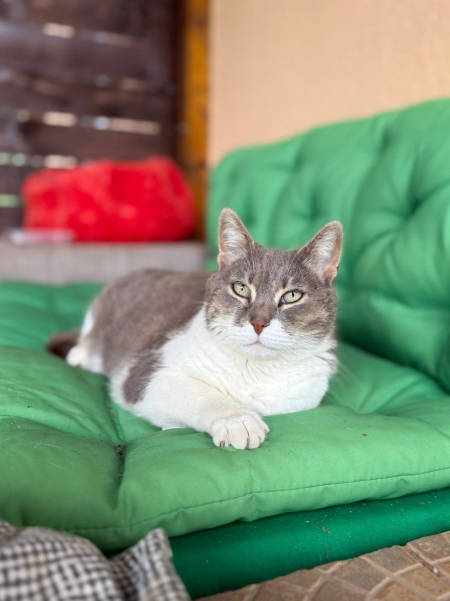 WhatsApp Image 2025-11-26 at 07.49.26 (2)