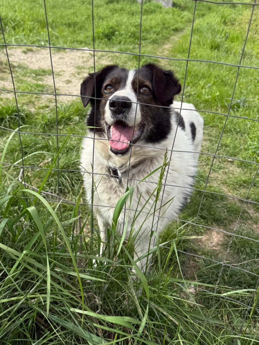 WhatsApp Image 2025-11-26 at 07.49.26 (3)