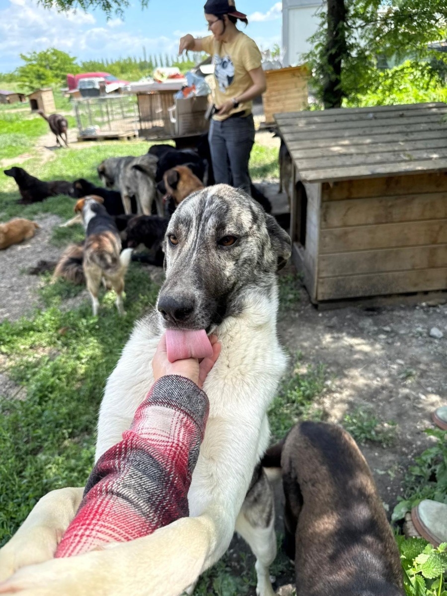 WhatsApp Image 2025-11-26 at 07.49.27 (1)