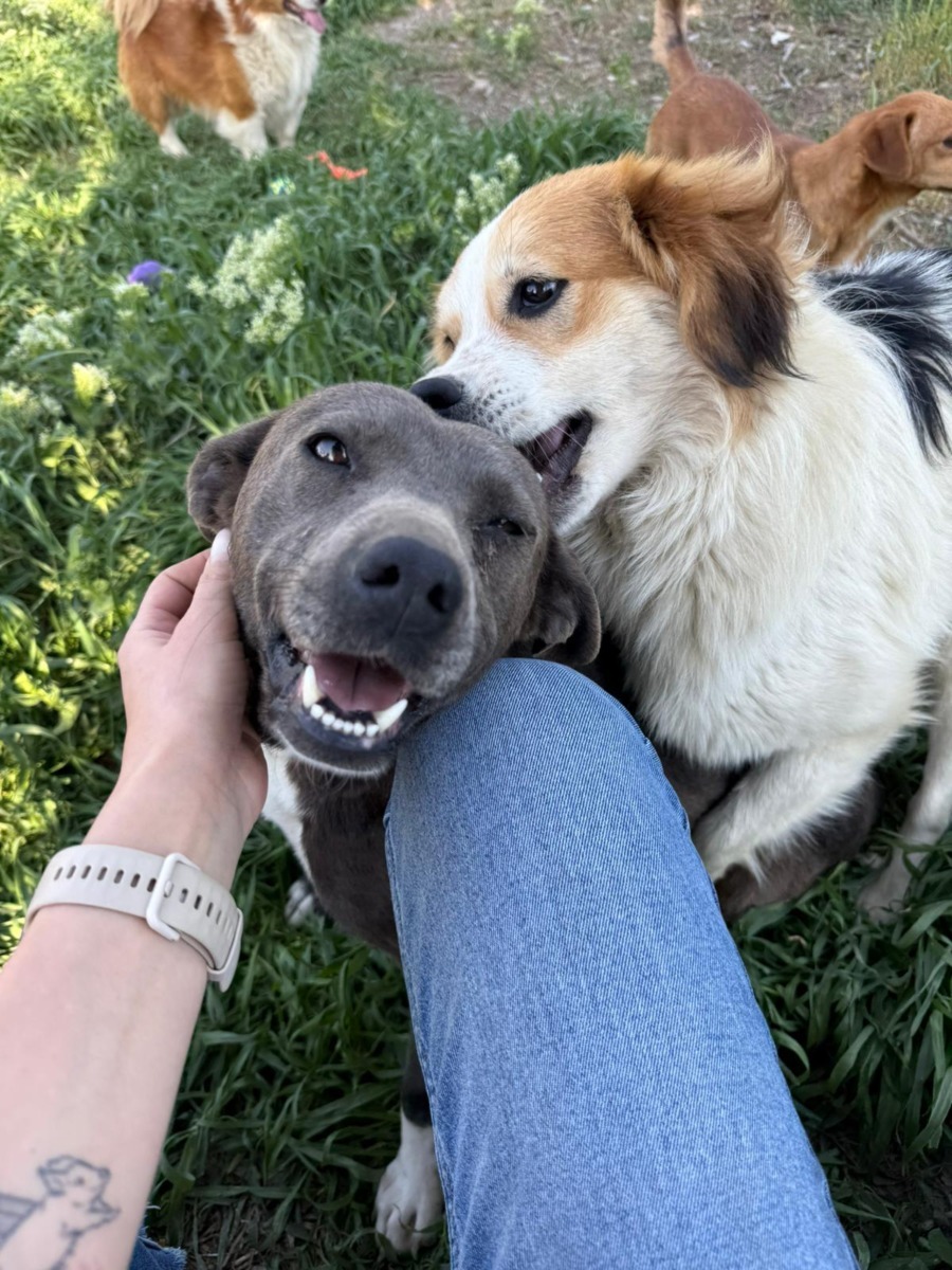 WhatsApp Image 2025-11-26 at 07.49.27 (2)