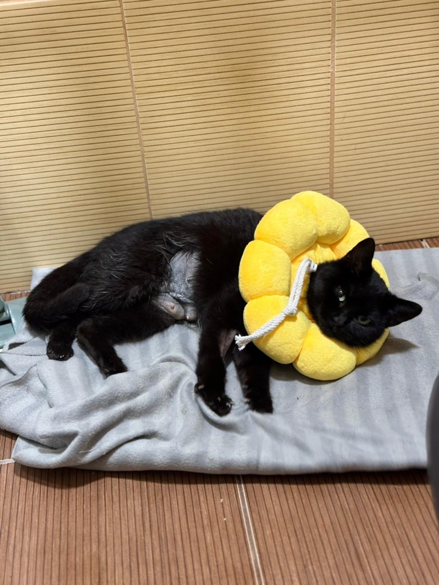 WhatsApp Image 2025-11-26 at 07.49.28 (1)