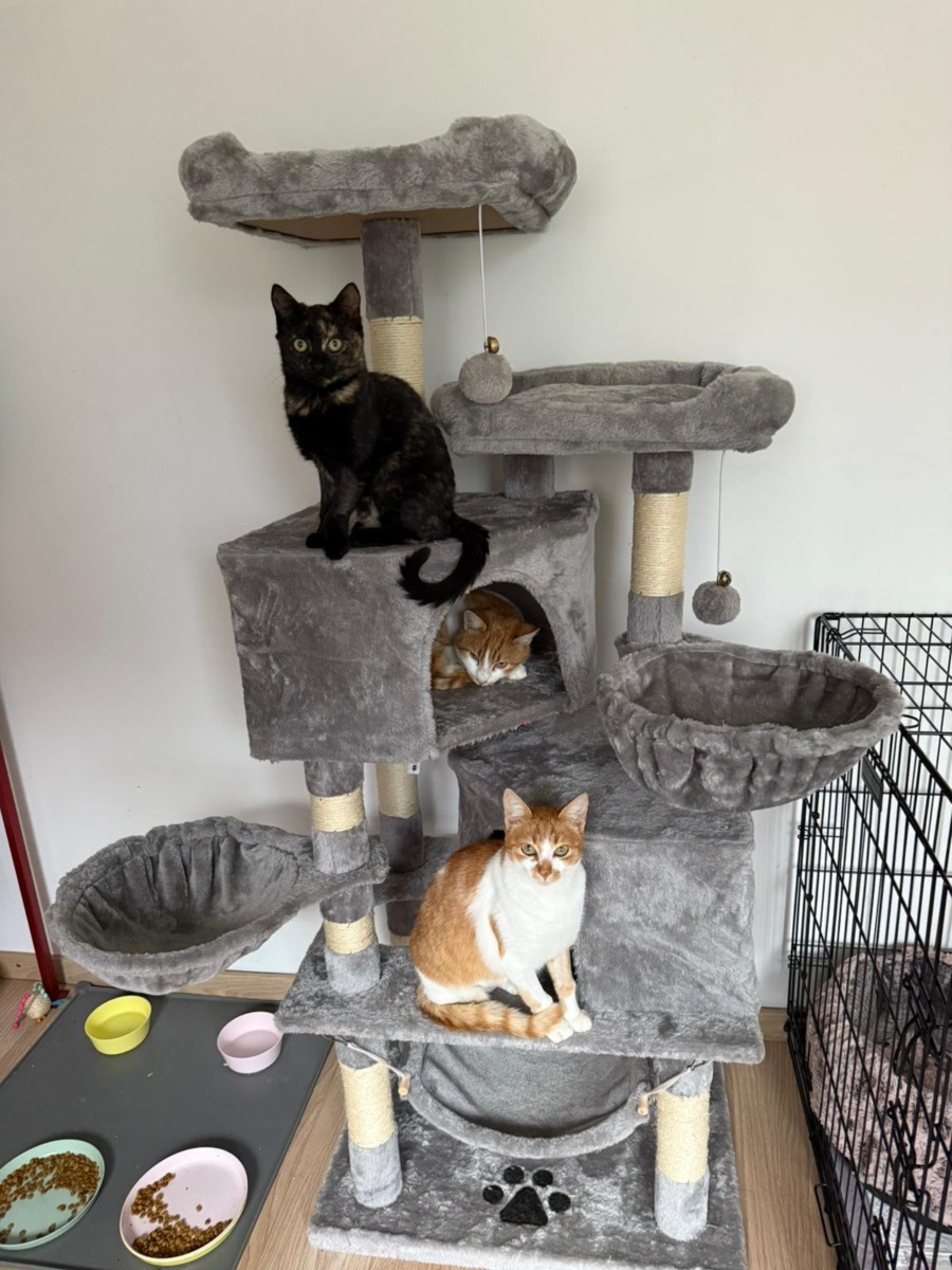 WhatsApp Image 2025-11-26 at 07.49.28 (2)