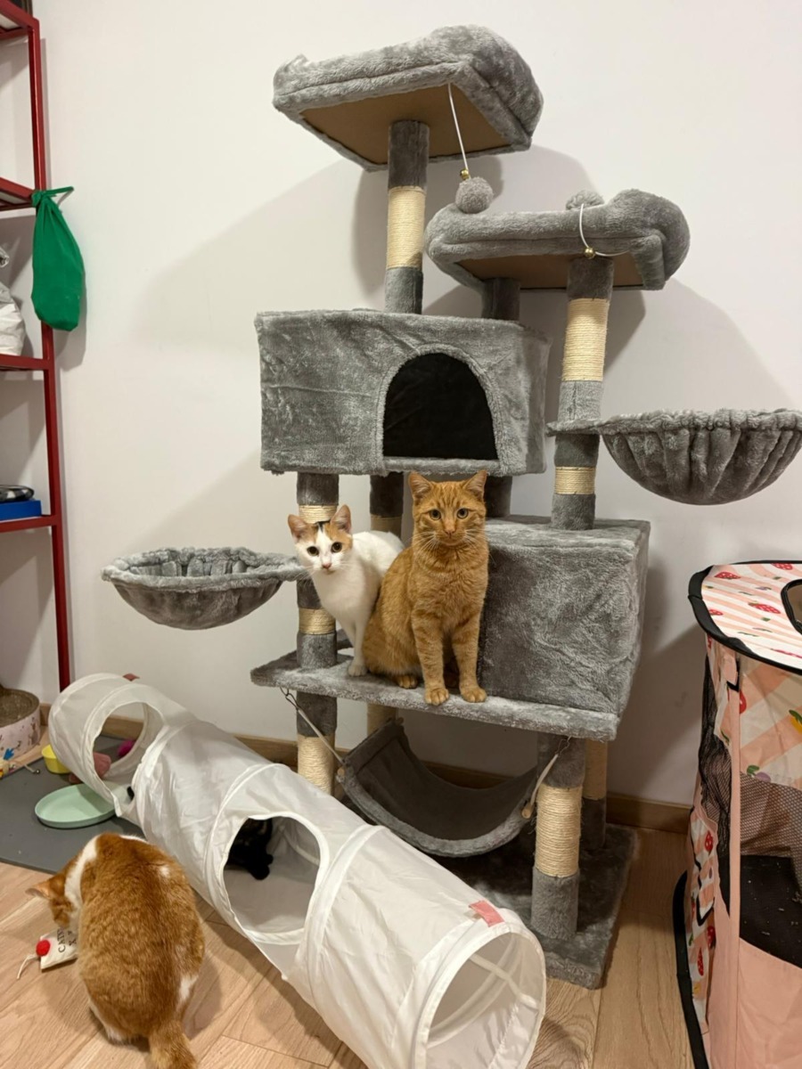 WhatsApp Image 2025-11-26 at 07.49.28 (4)