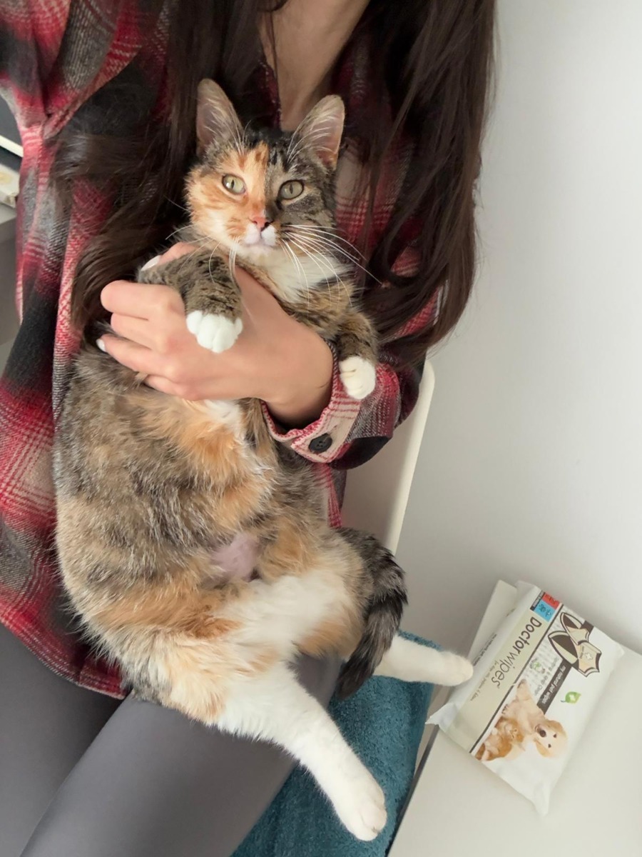 WhatsApp Image 2025-11-26 at 07.49.29 (1)