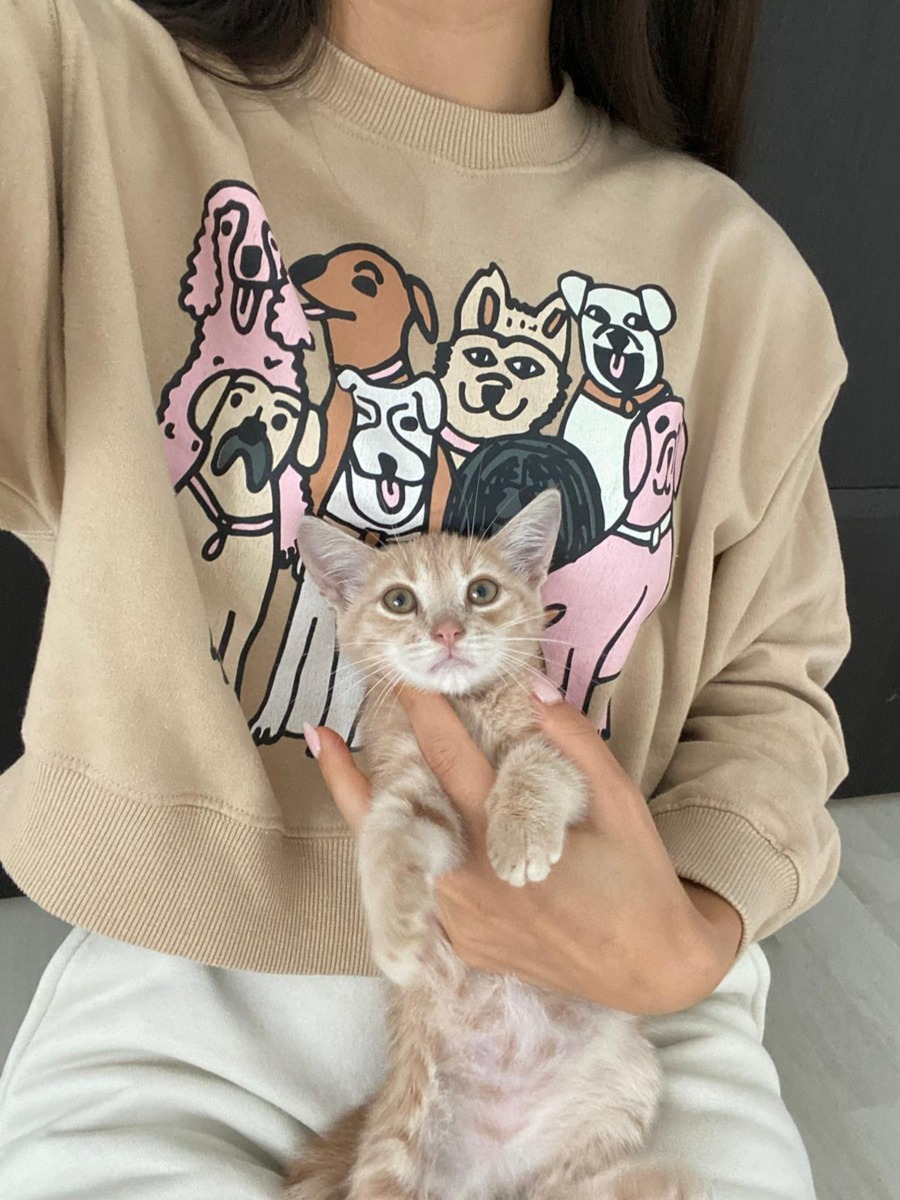 WhatsApp Image 2025-11-26 at 07.49.29 (2)