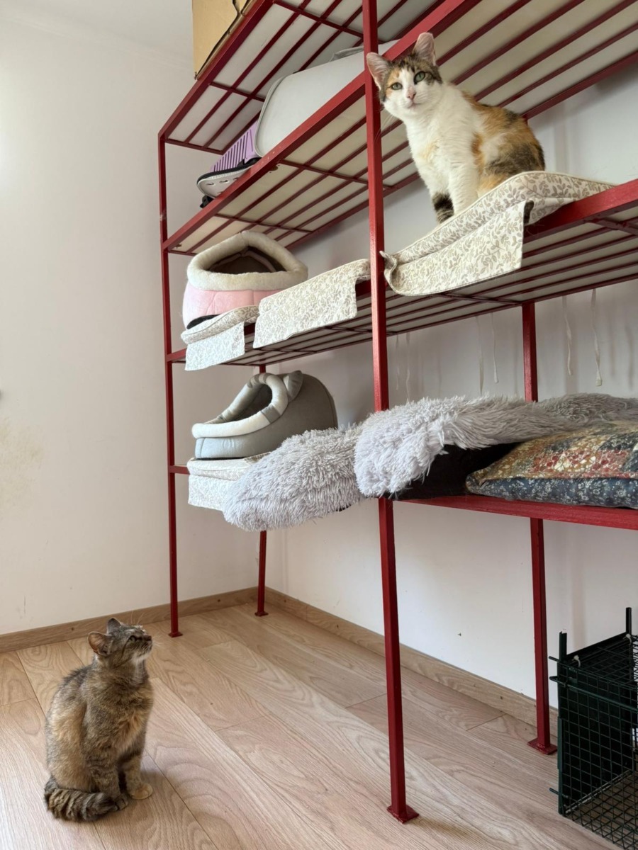 WhatsApp Image 2025-11-26 at 07.49.29