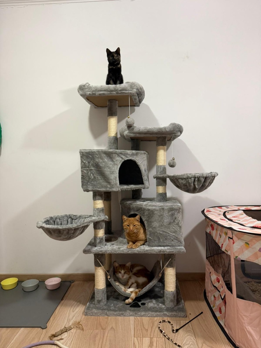 WhatsApp Image 2025-11-26 at 07.49.30 (1)