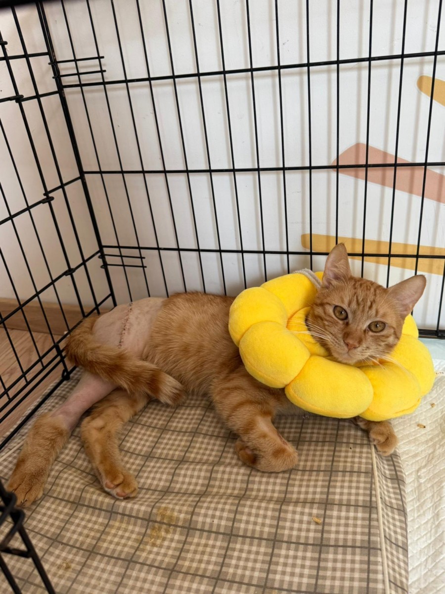 WhatsApp Image 2025-11-26 at 07.49.31