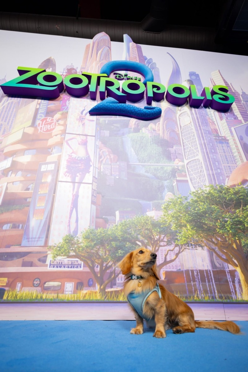 WhatsApp Image 2025-11-26 at 10.49.07 (2)