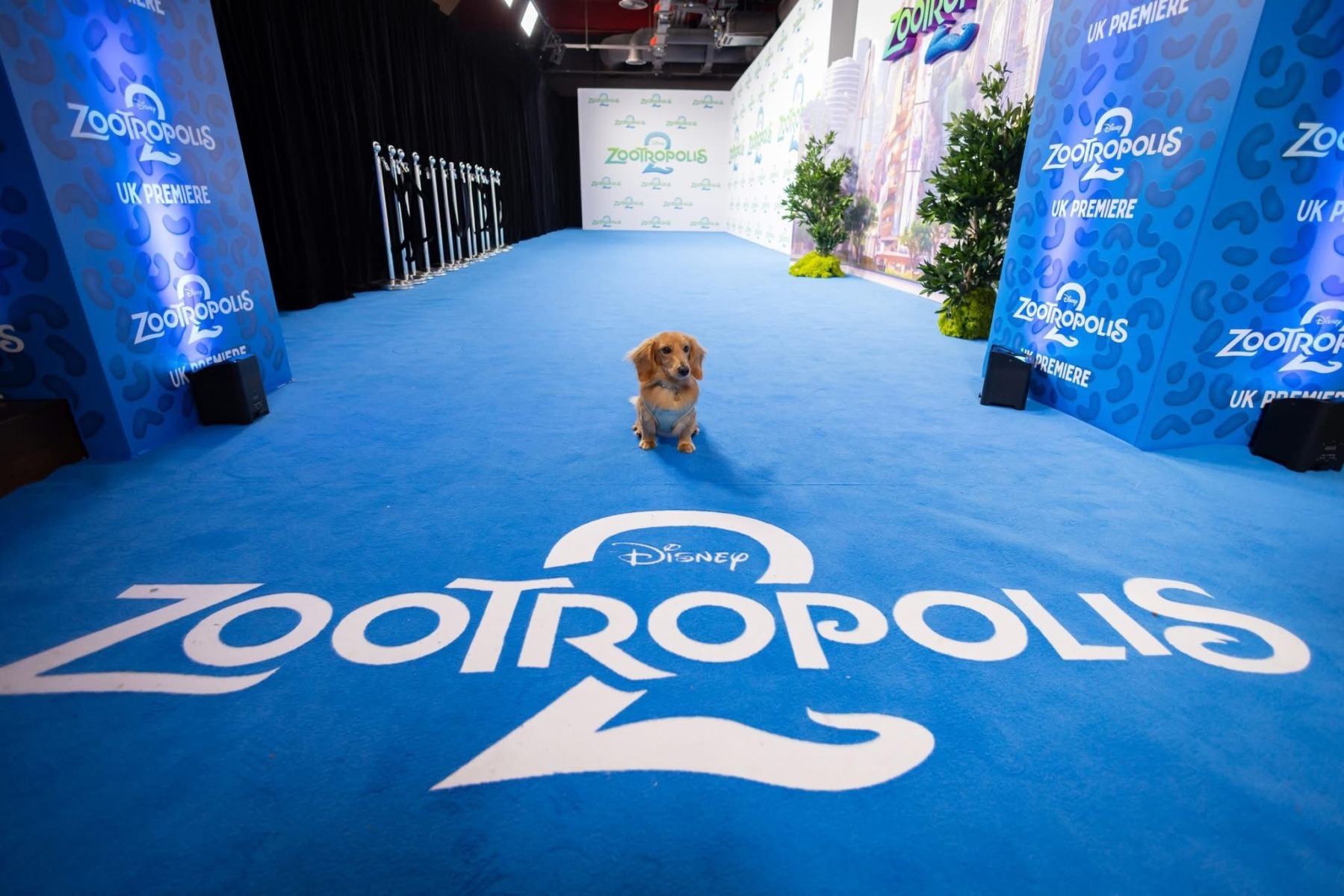 WhatsApp Image 2025-11-26 at 10.49.07 (3)