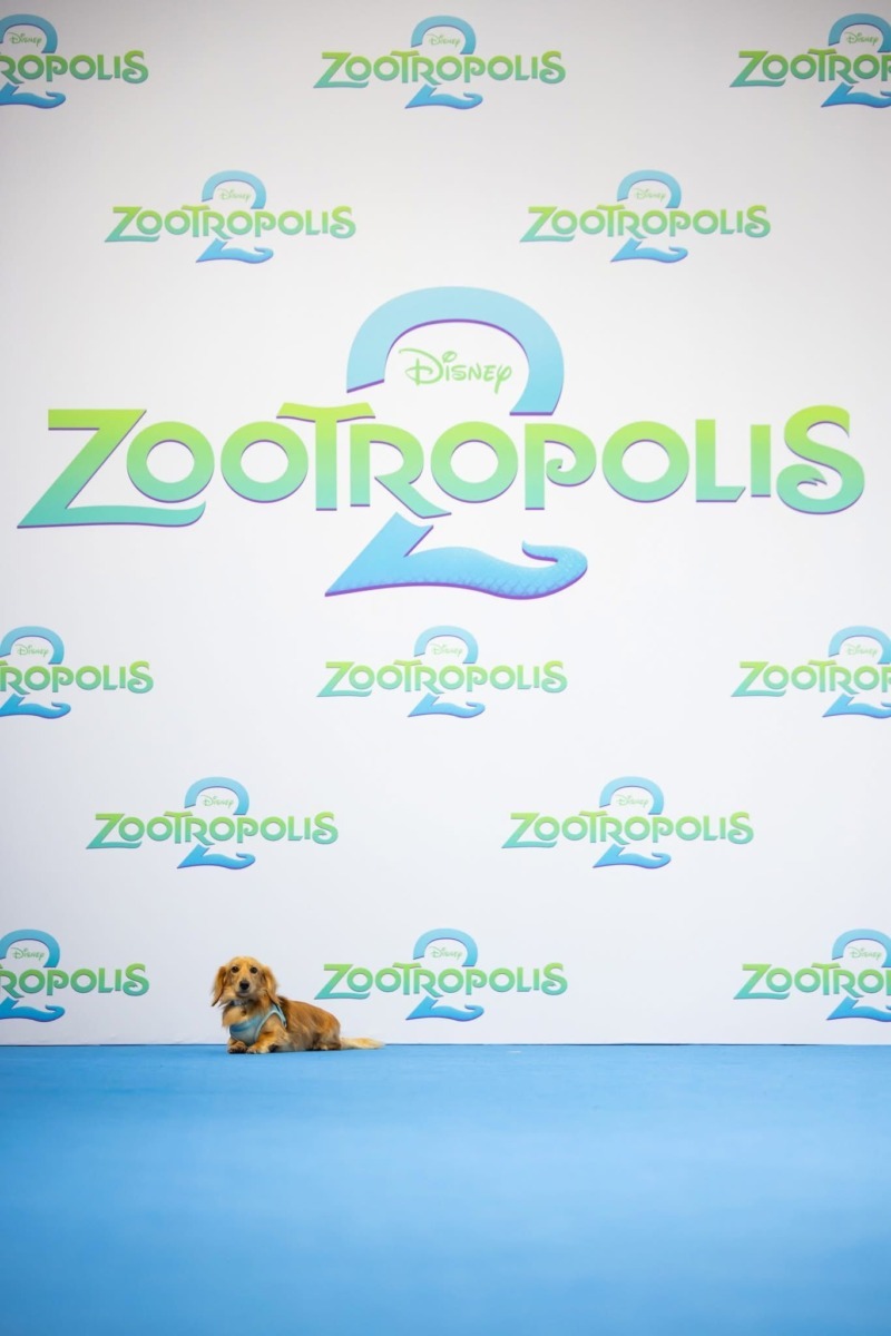 WhatsApp Image 2025-11-26 at 10.49.07 (4)