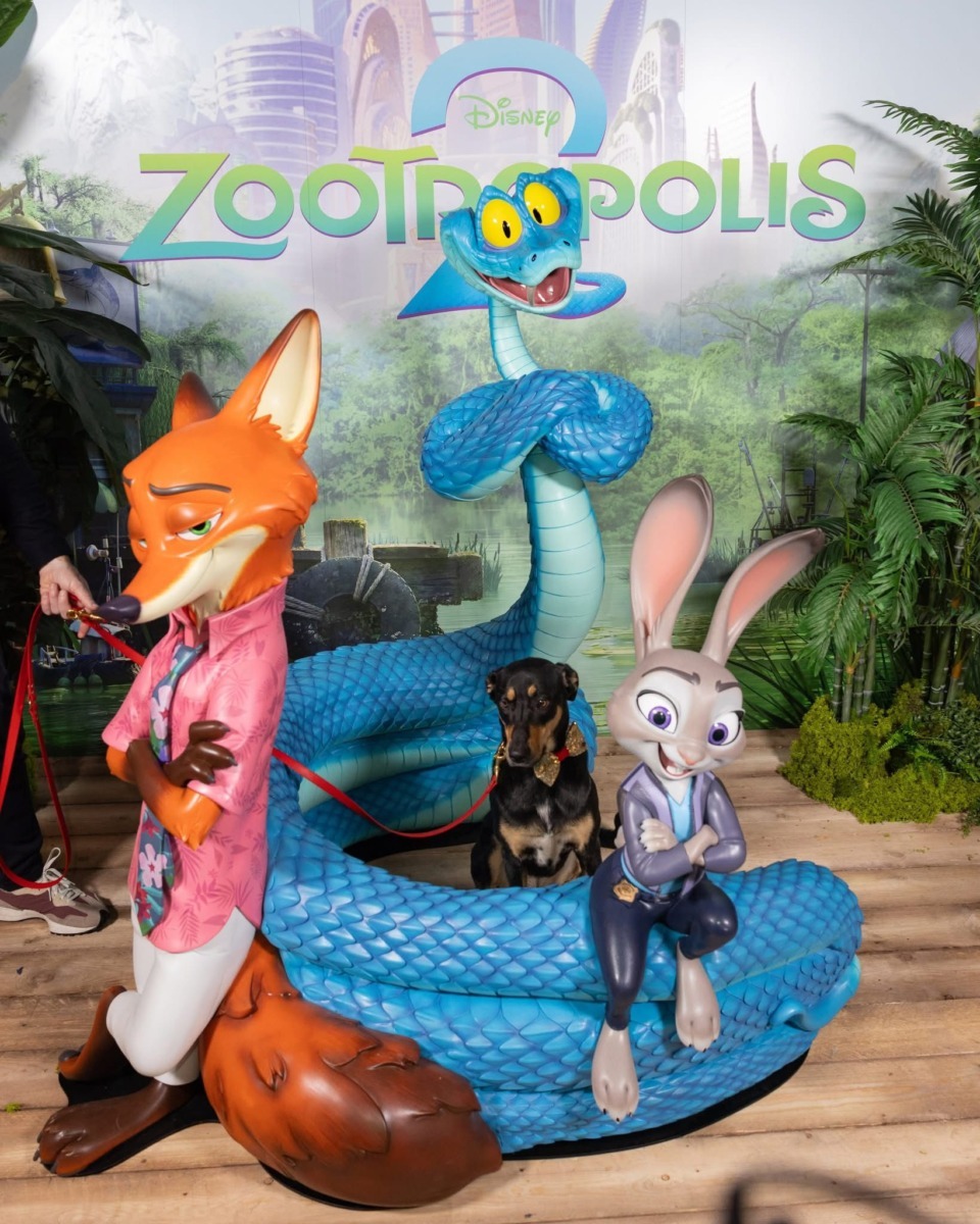 WhatsApp Image 2025-11-26 at 10.49.08