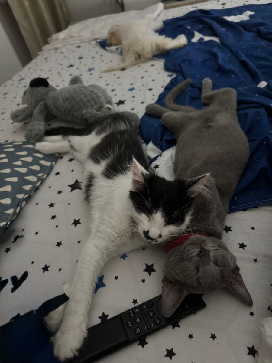 WhatsApp Image 2025-11-27 at 11.28.04 (1)