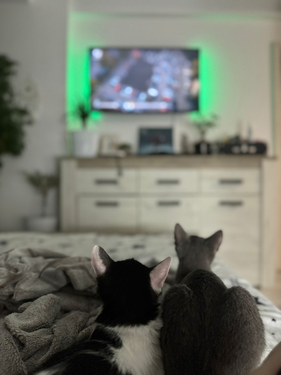 WhatsApp Image 2025-11-27 at 11.28.04