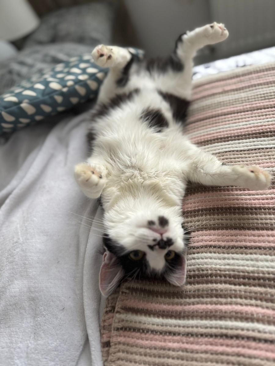 WhatsApp Image 2025-11-27 at 11.28.05 (4)