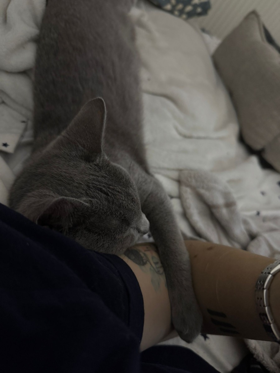 WhatsApp Image 2025-11-27 at 11.28.05 (5)