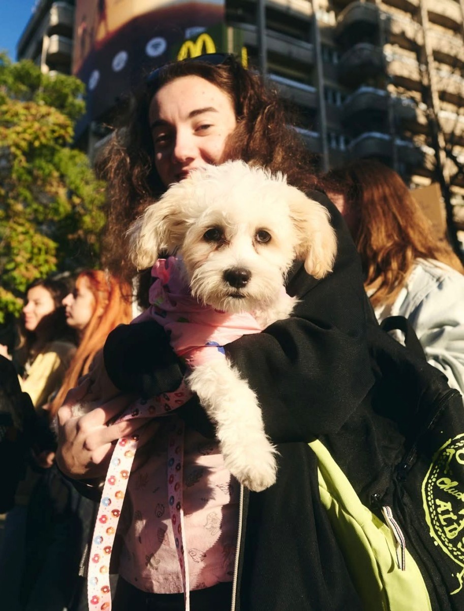 WhatsApp Image 2025-11-27 at 11.28.05