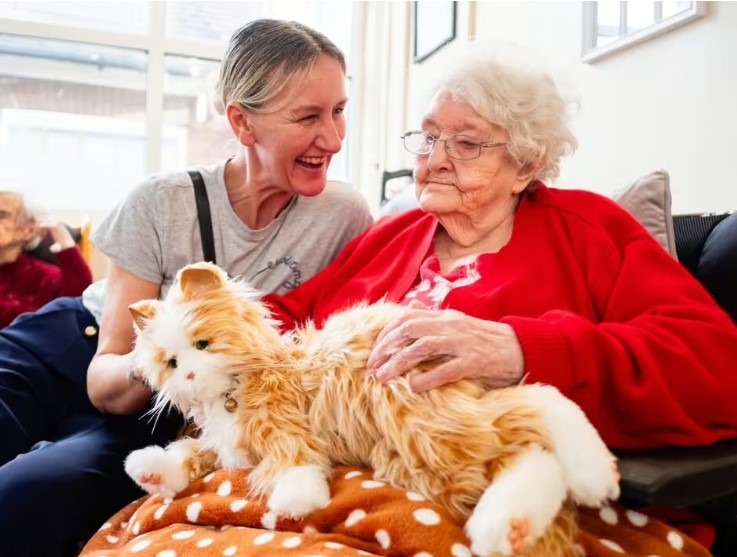 animale robotizate pentru oameni la azil